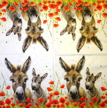 051 Pferde - 3-lagig - Ambiente